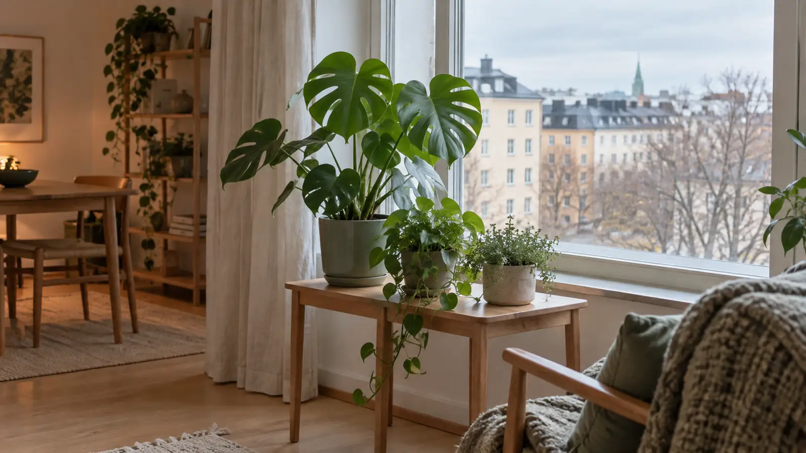 Houseplants near a bright apartment window in late autumn.